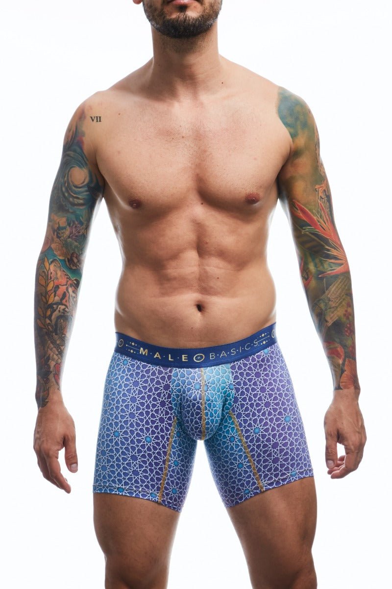 MaleBasics Boxer Brief Hipster