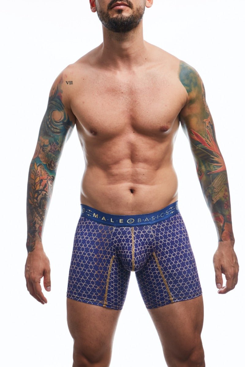 MaleBasics Boxer Brief Hipster