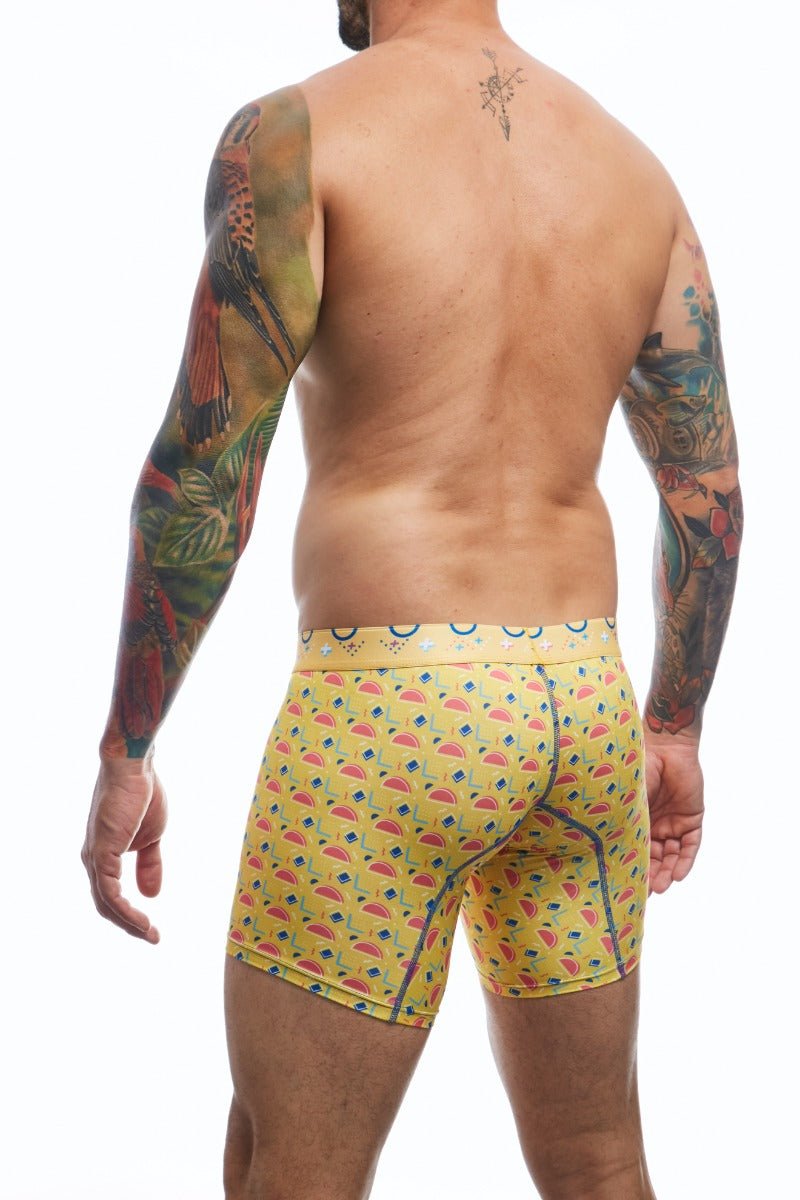 MaleBasics Boxer Brief Hipster