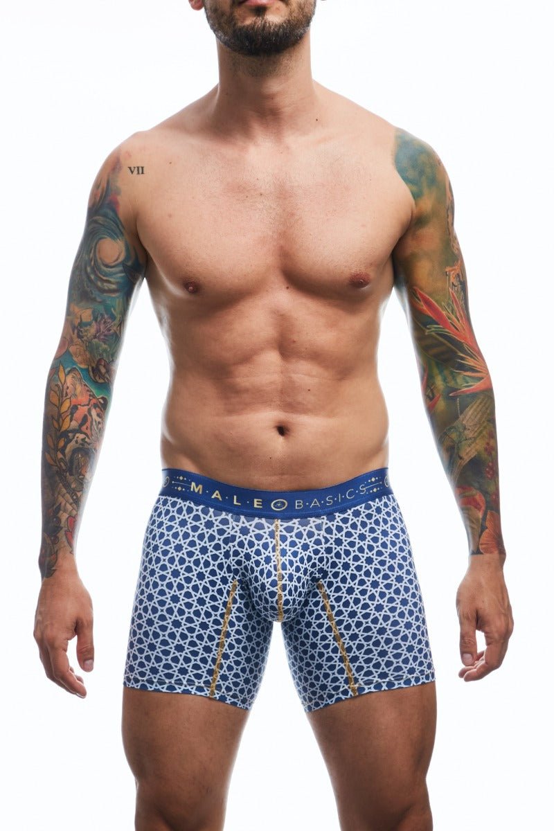 MaleBasics Boxer Brief Hipster