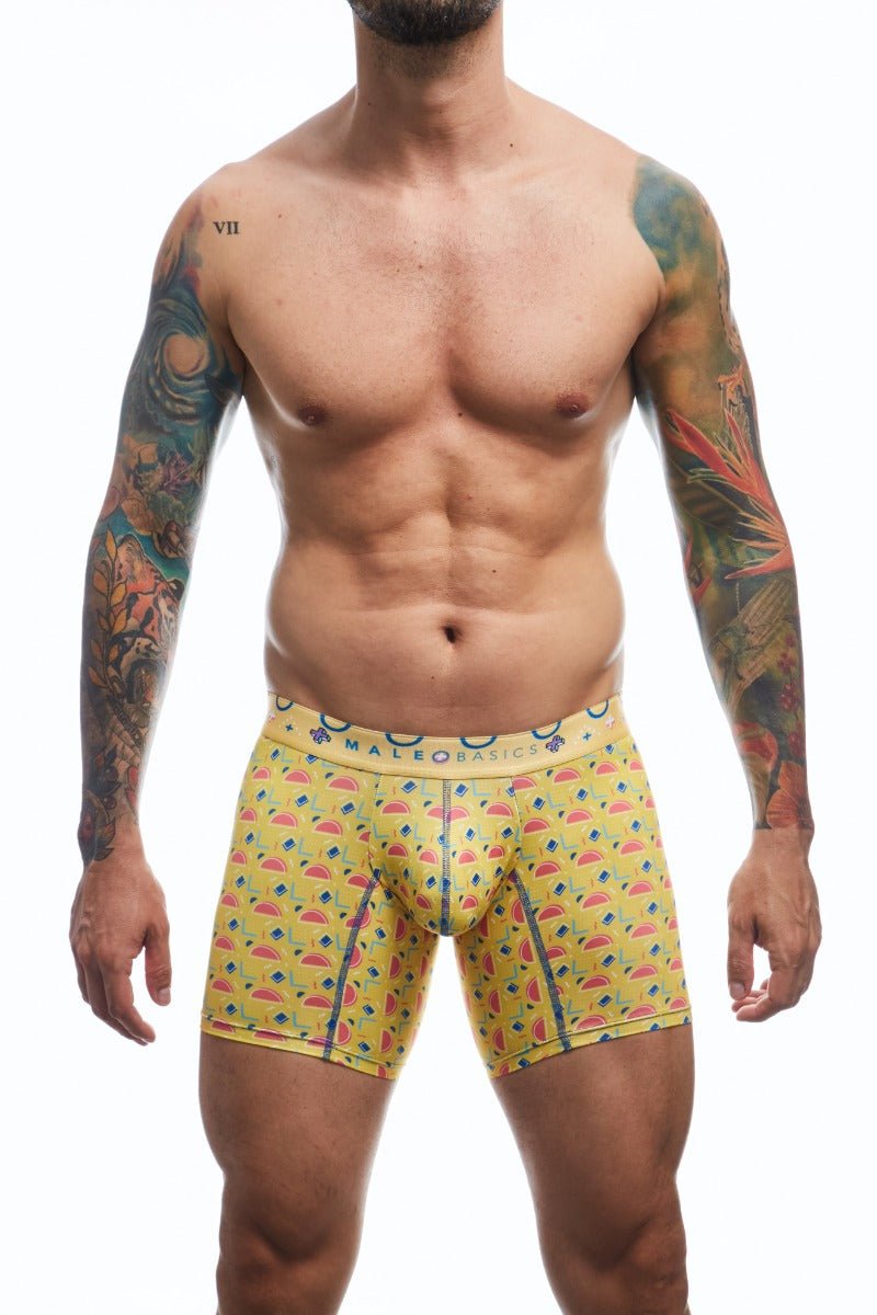 MaleBasics Boxer Brief Hipster
