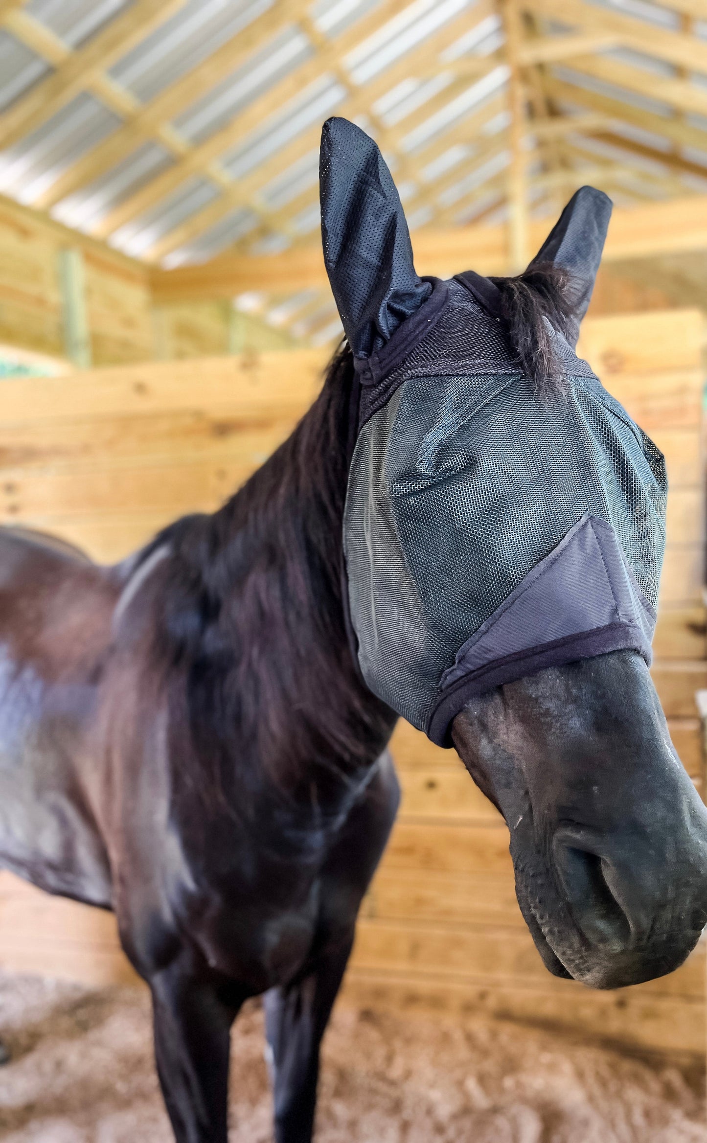 AJ Tack Fly Mask with Ears