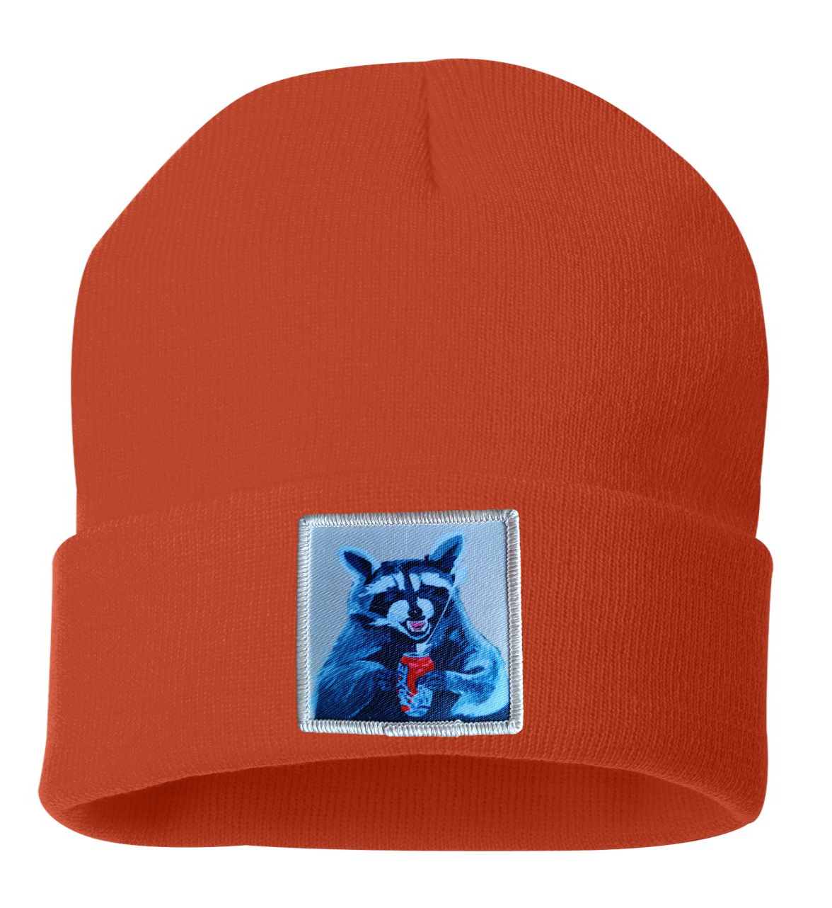 Camp Crasher Raccoon Beanie