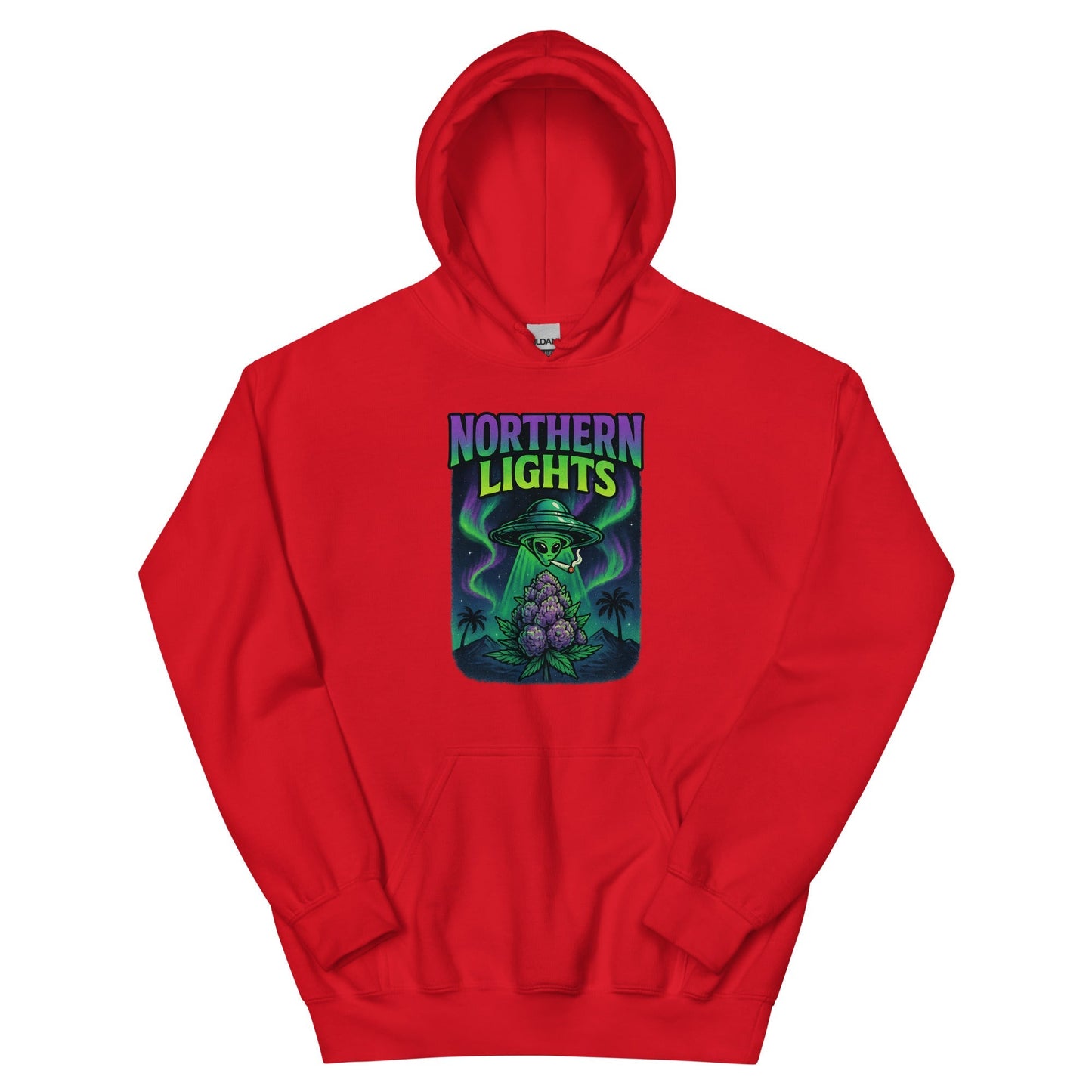 Northern Lights Unisex Hoodie