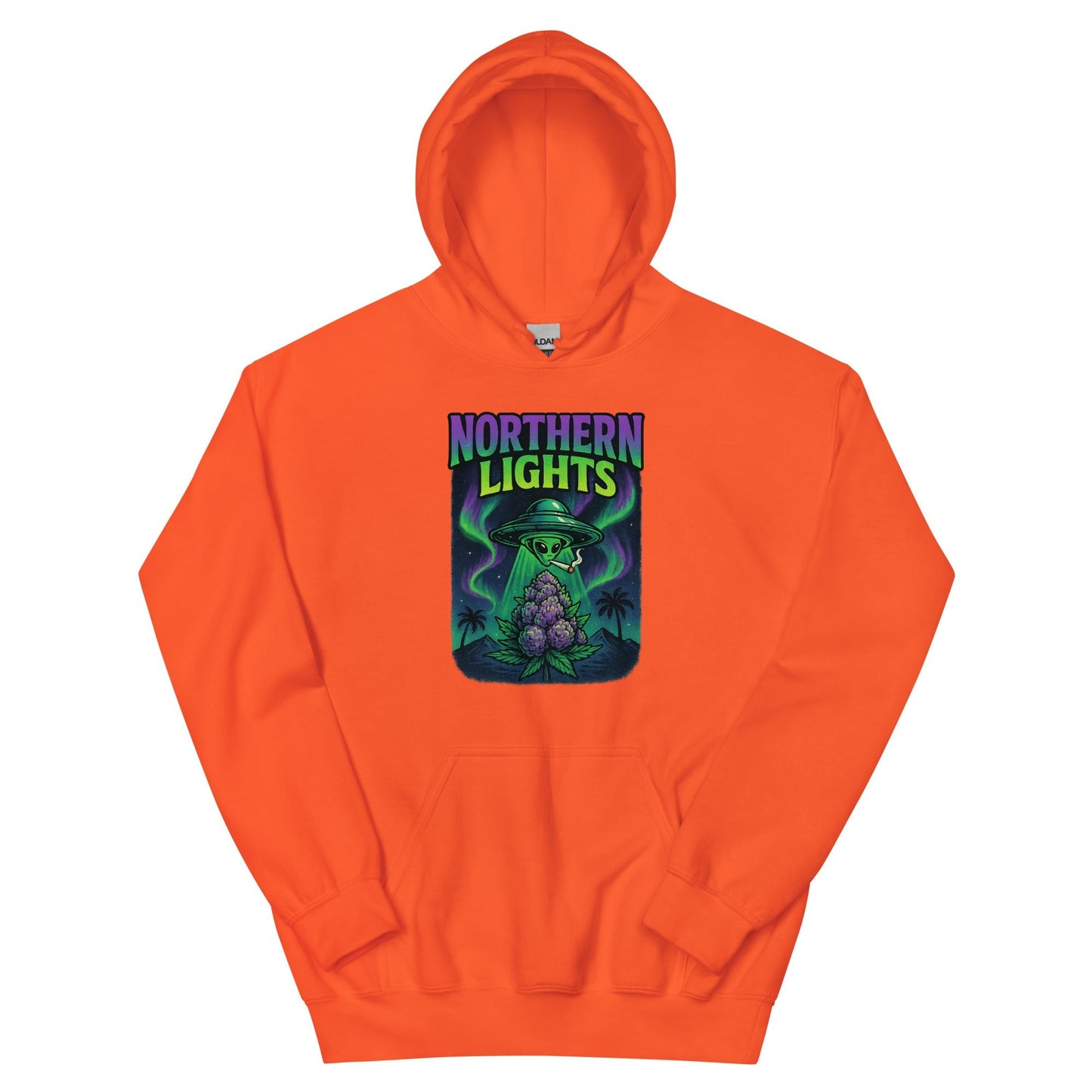 Northern Lights Unisex Hoodie