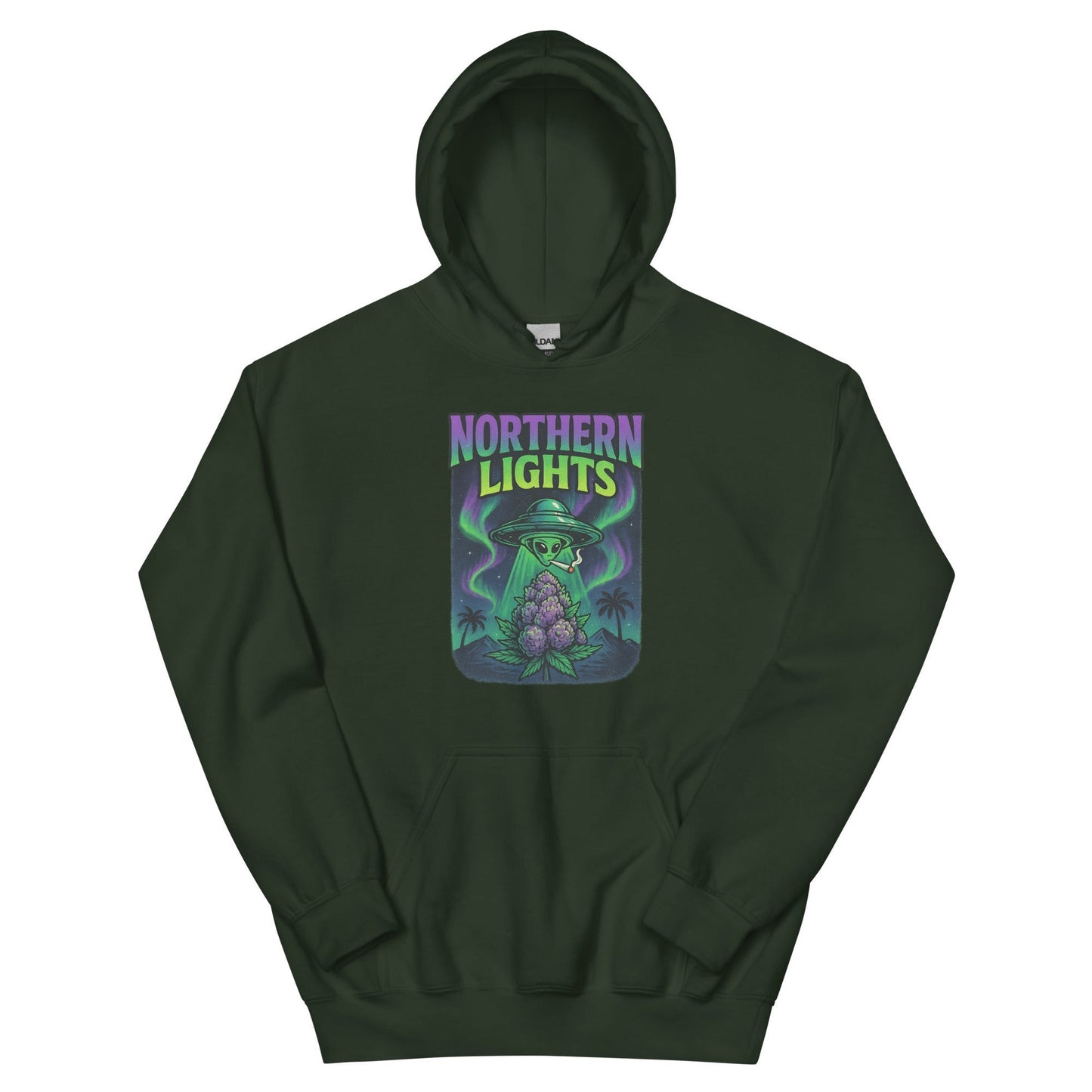 Northern Lights Unisex Hoodie