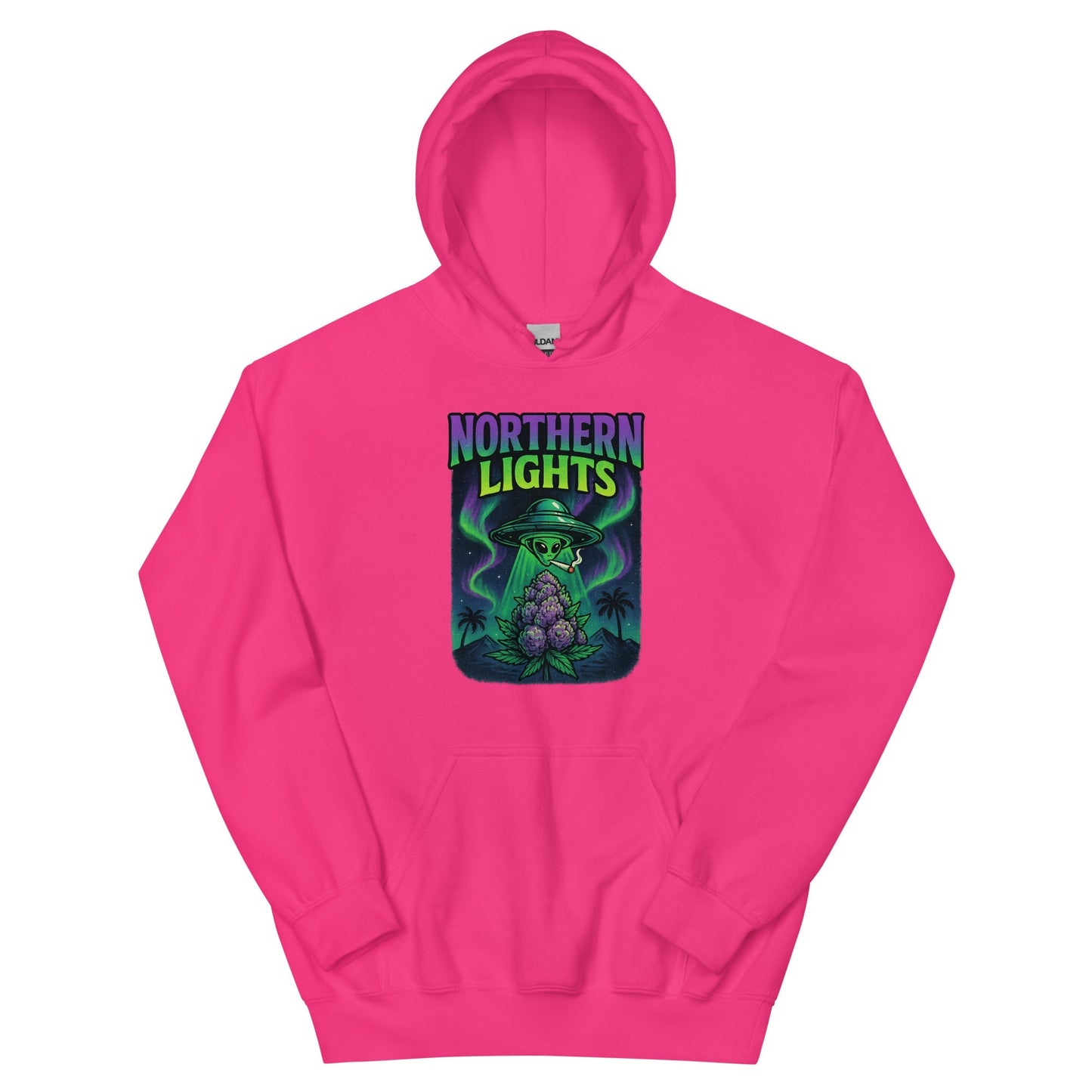 Northern Lights Unisex Hoodie