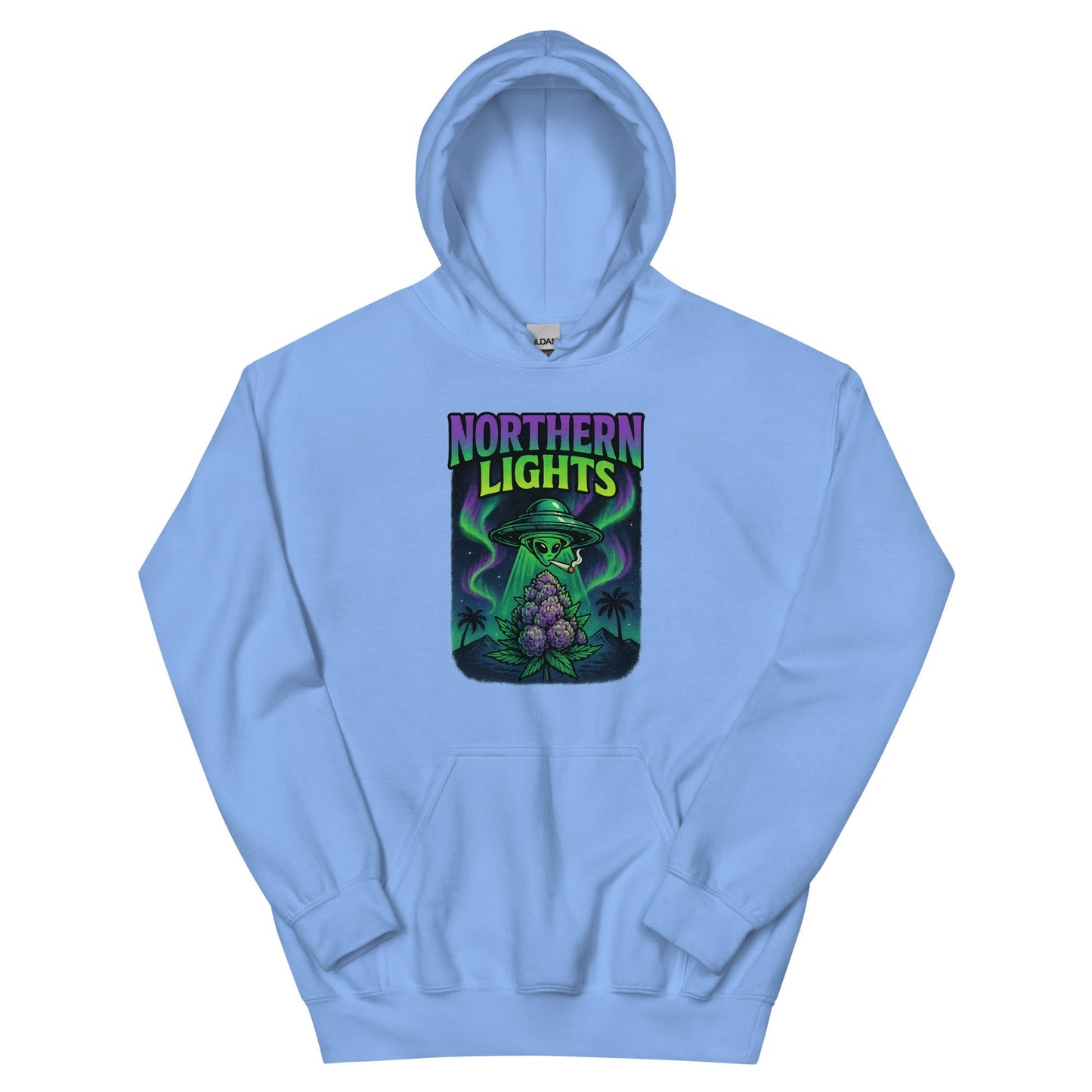 Northern Lights Unisex Hoodie