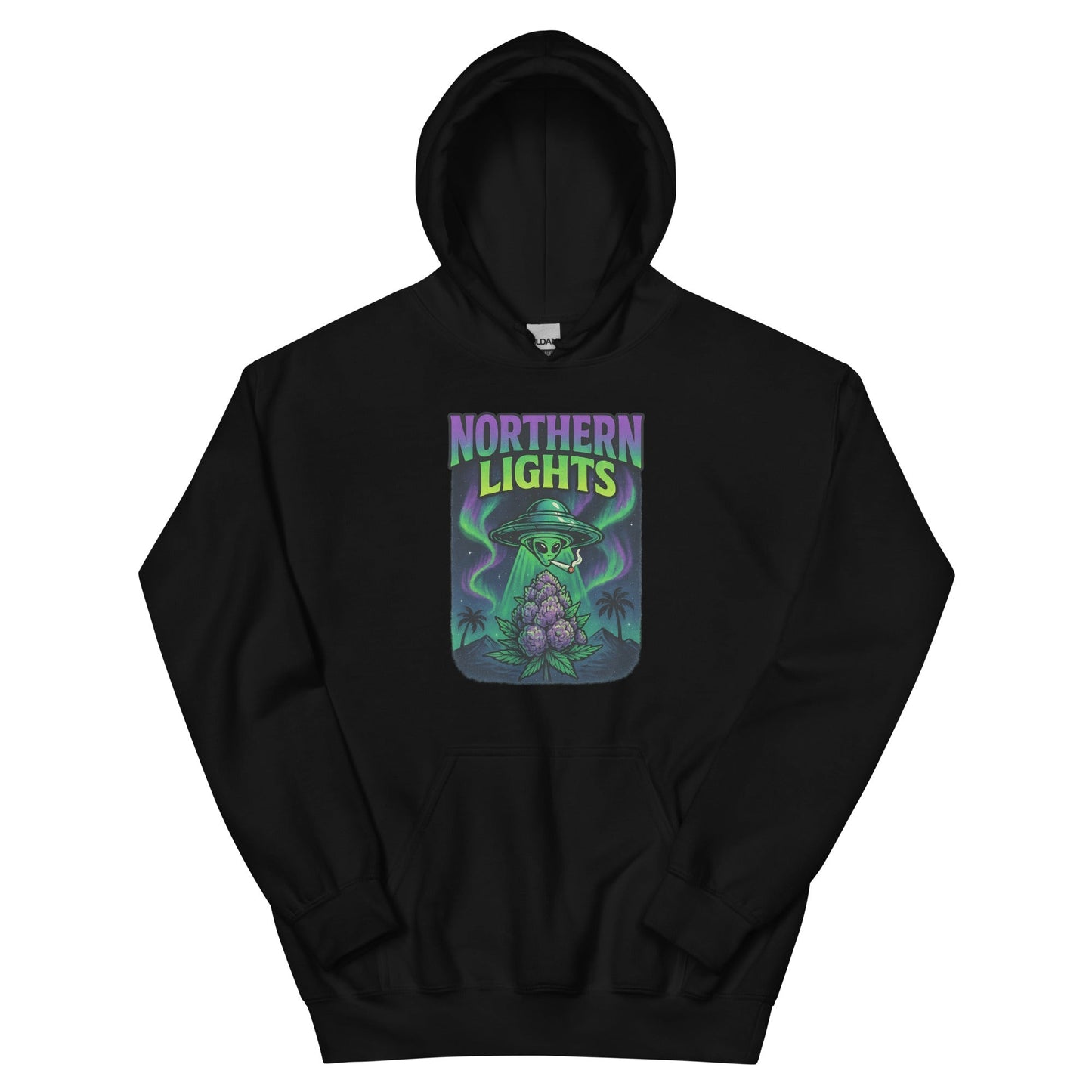 Northern Lights Unisex Hoodie