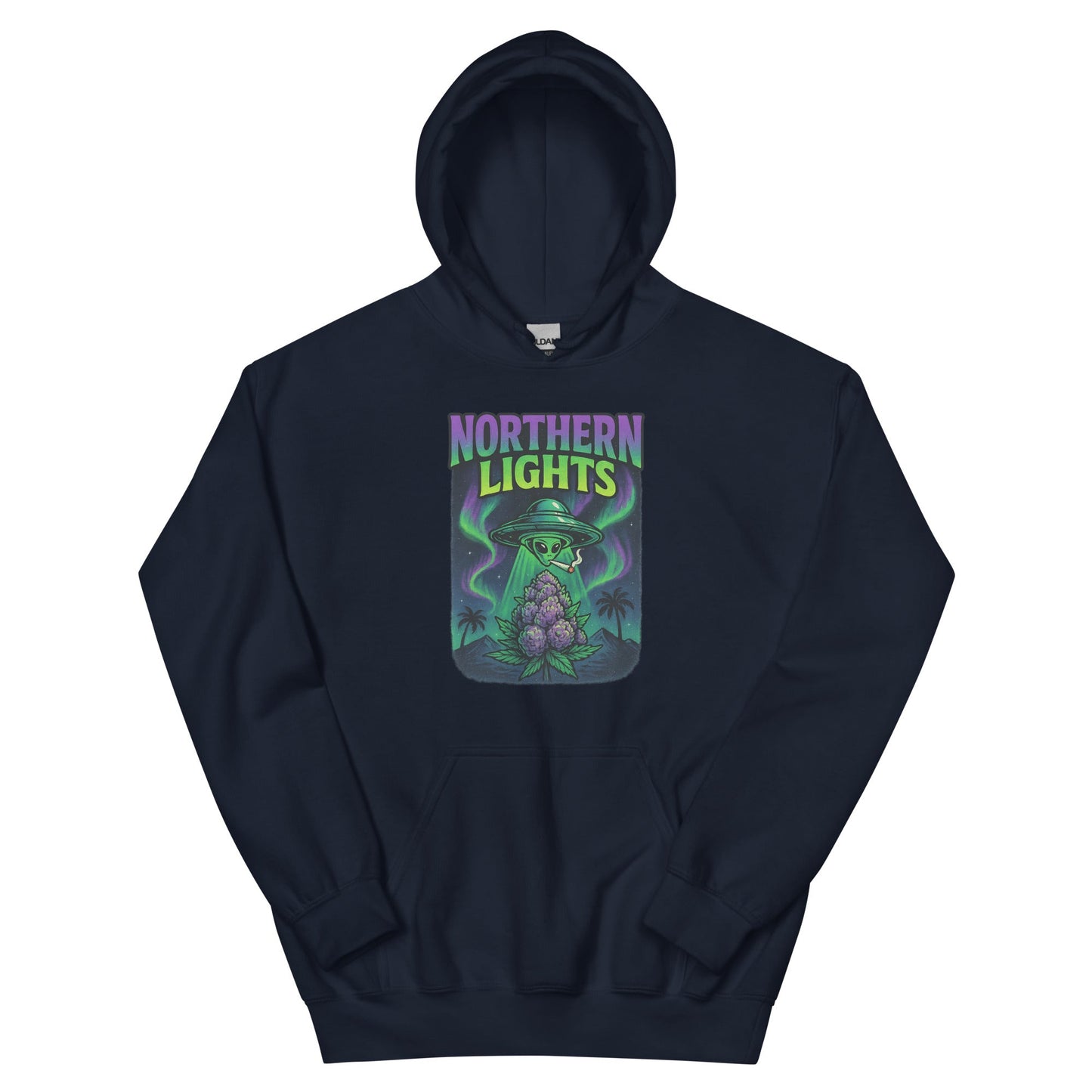 Northern Lights Unisex Hoodie