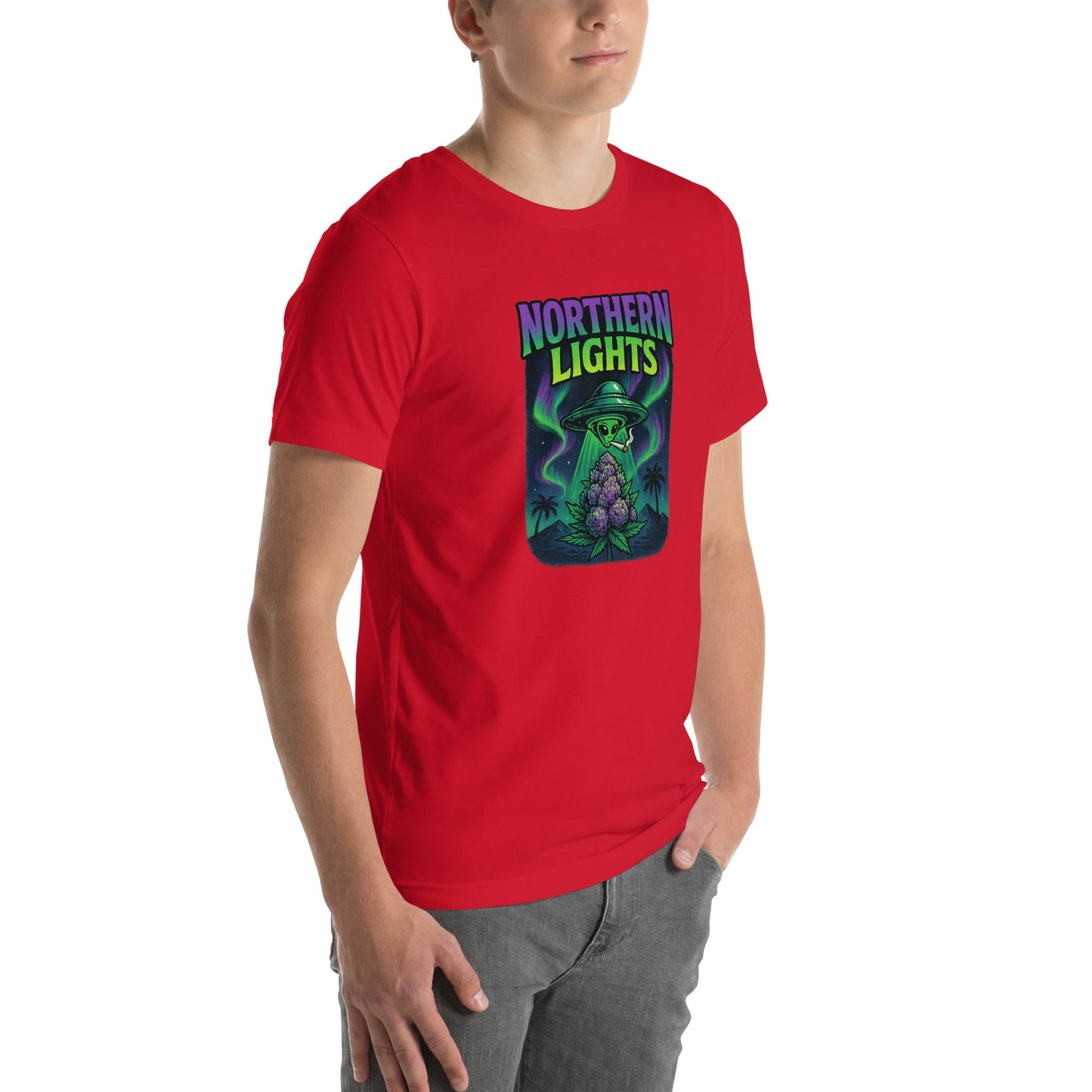 Northern Lights Unisex t-shirt
