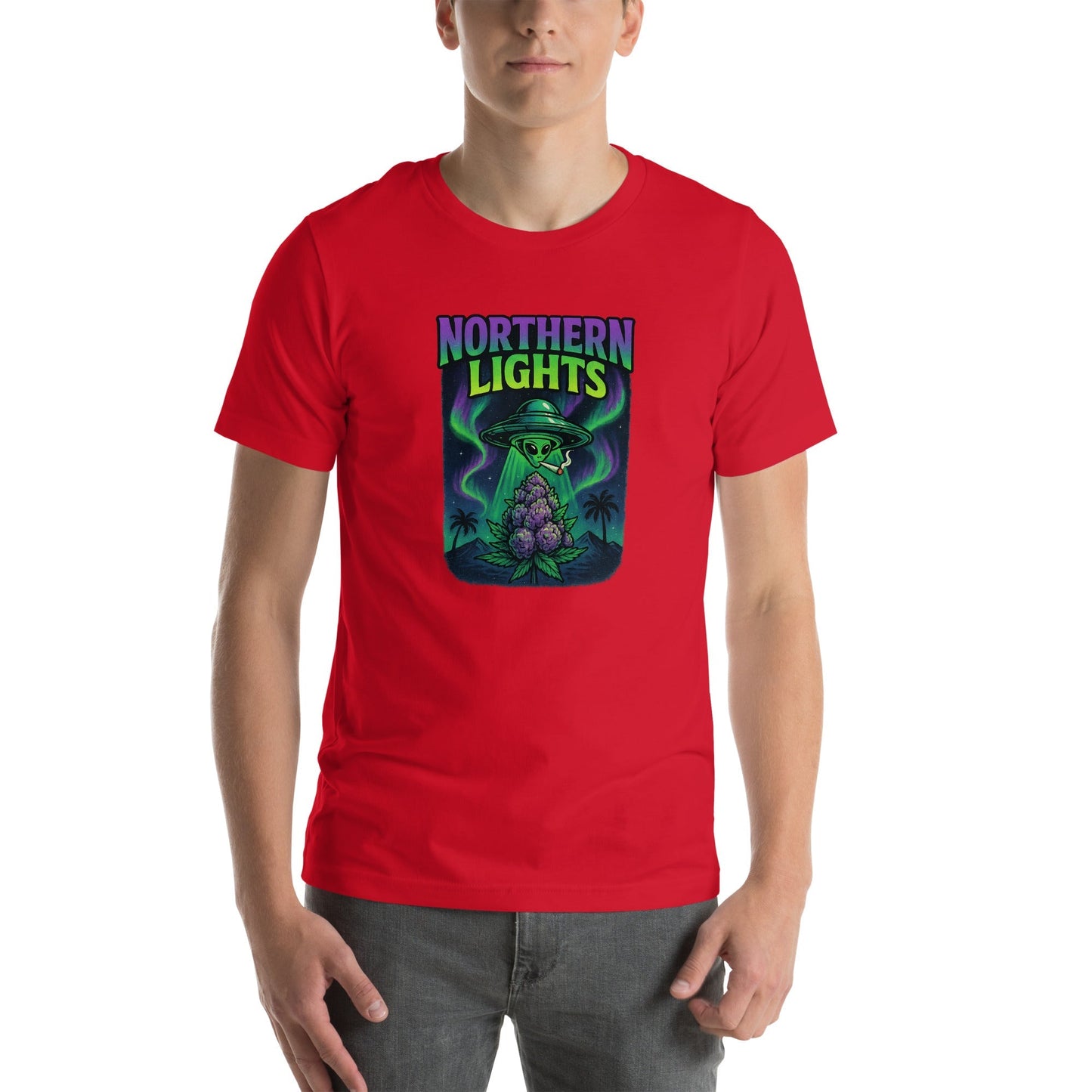 Northern Lights Unisex t-shirt