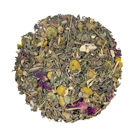 Beach Wellness: Nutritive