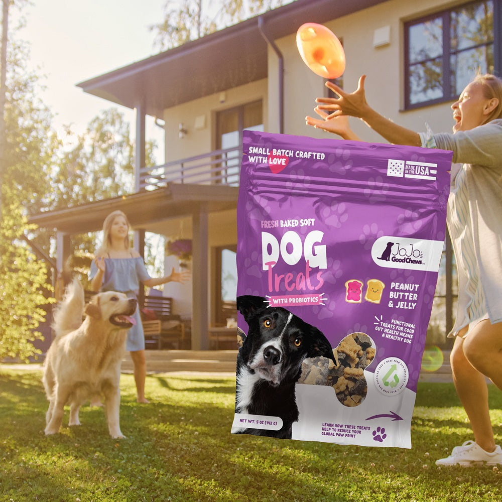 JoJo Good Chews Peanut Butter & Jelly Soft Chew Dog Treats (2-Pack)