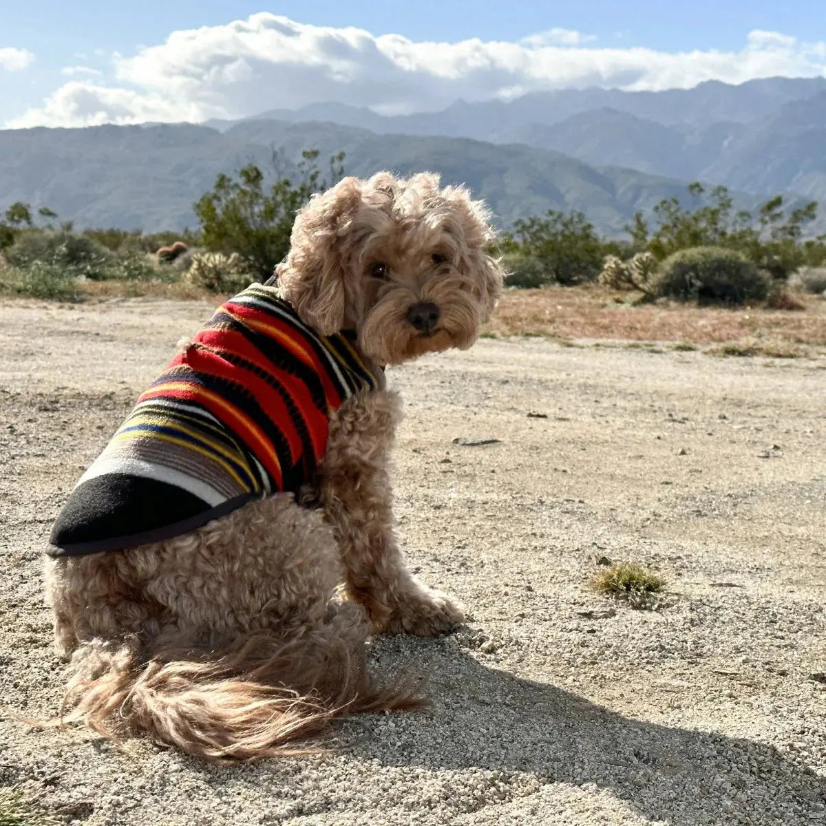 Pendleton National Park Dog Vest
