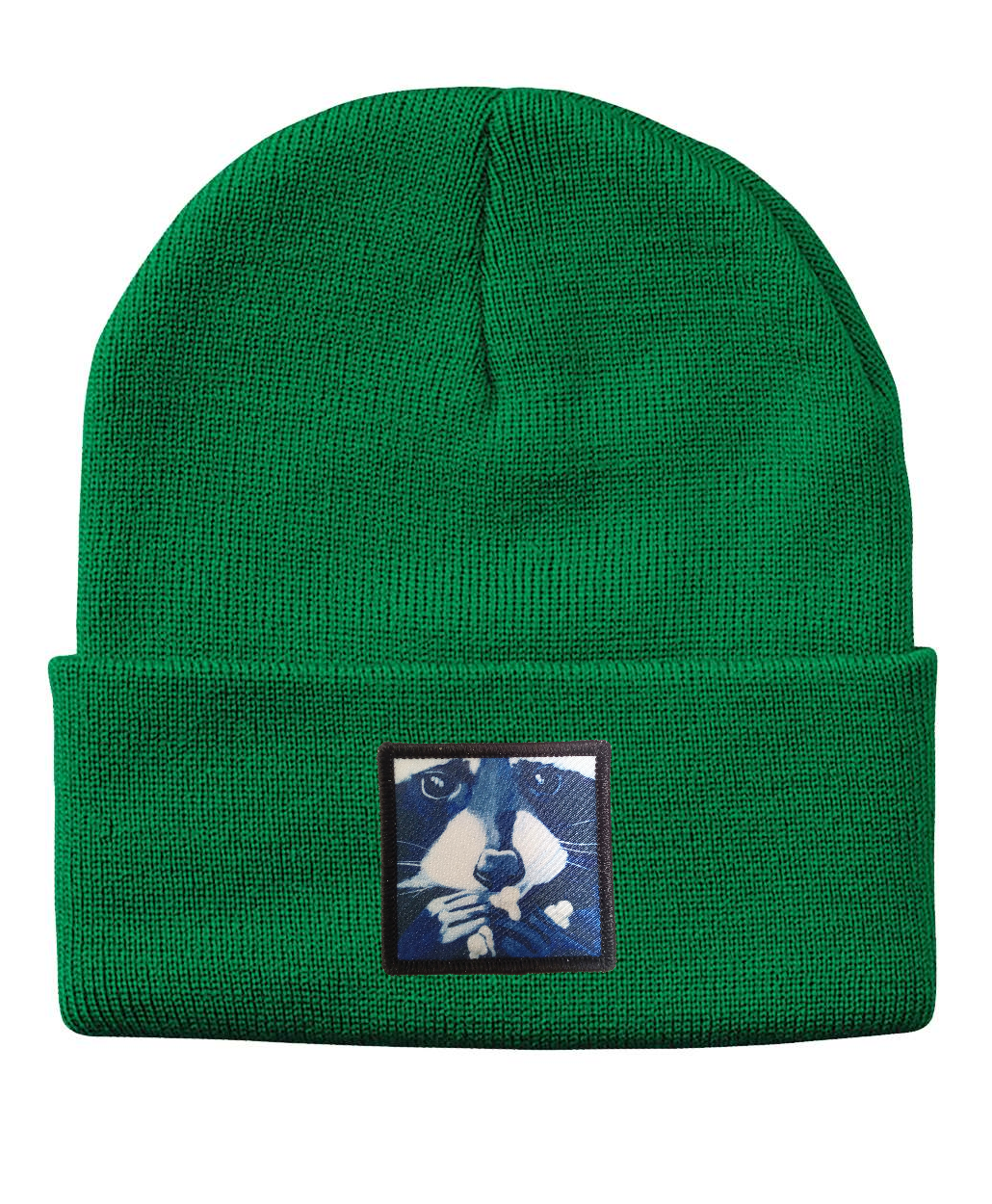 Raccoon Pop Beanie