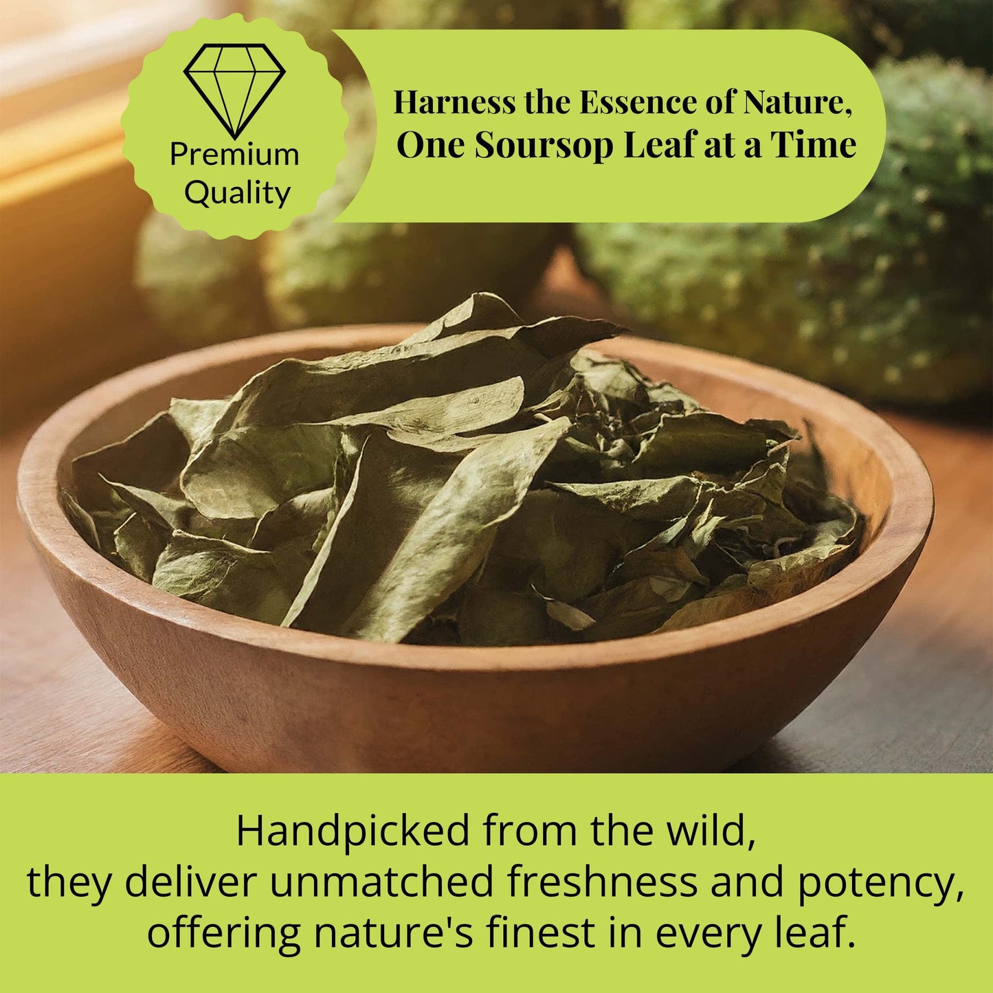 200+ Premium Dried Soursop Graviola Leaves Tea – 2.6 oz , 100% Natural Soursop Tea, Caffeine-Free Herbal Tea (Hoja Guanabana)