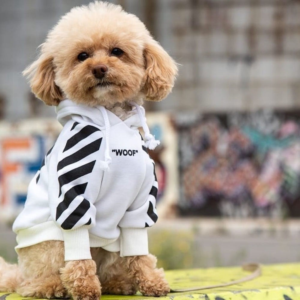 Fresh Pawz Woof Dog Hoodie