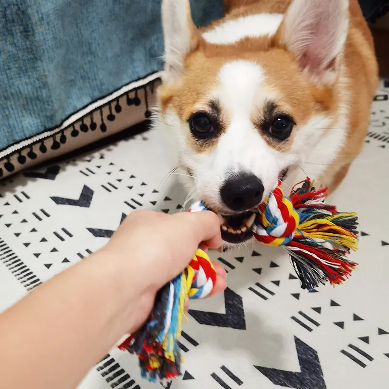 Dog Bite Rope Chew Toy