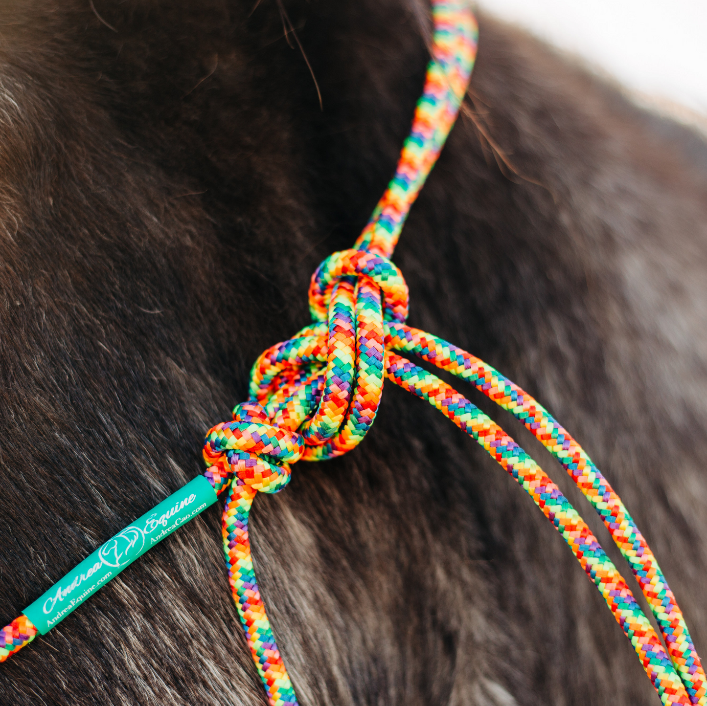 10 Ft Clinician Sport Water Loop Reins