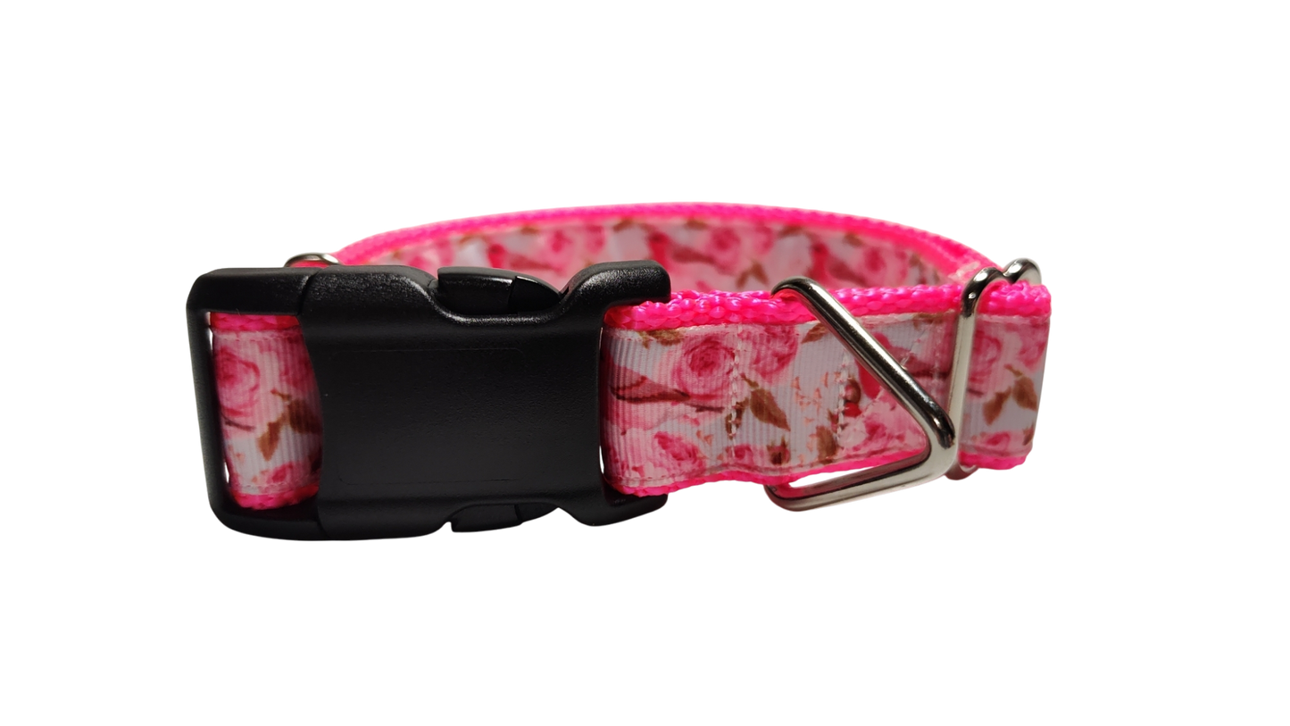 Rose Finch Bird Nylon Dog Collar