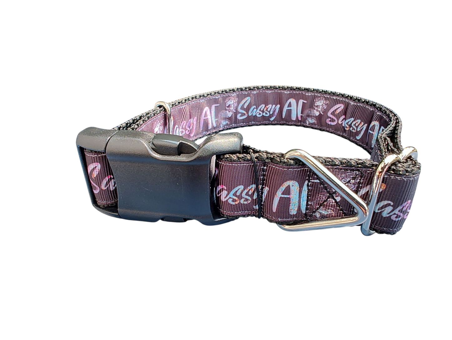 Sassy AF Nylon Dog Collar