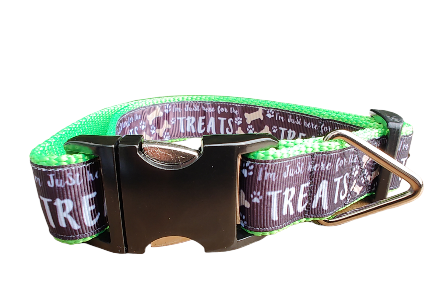 Here For The Treats Neon Green Nylon Dog Collar MD, LG, XL, Leash