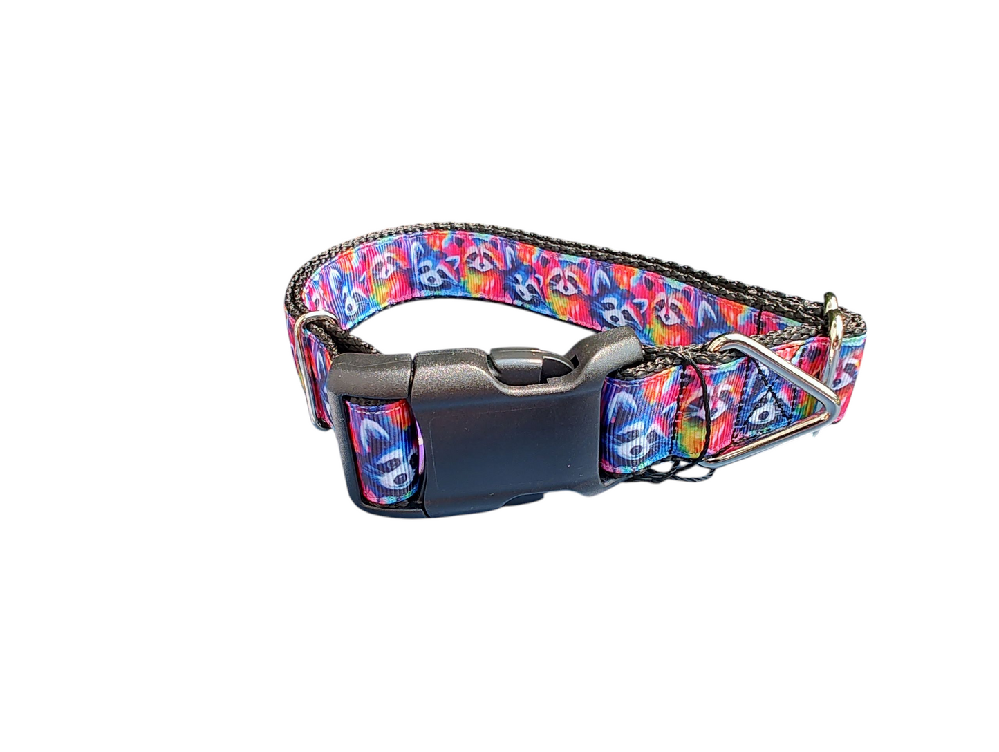 Trash Panda Raccoons Nylon Dog Collar