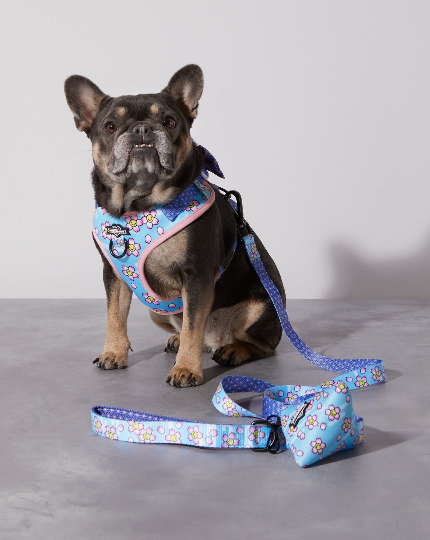 Smiling Sakura Dog Leash