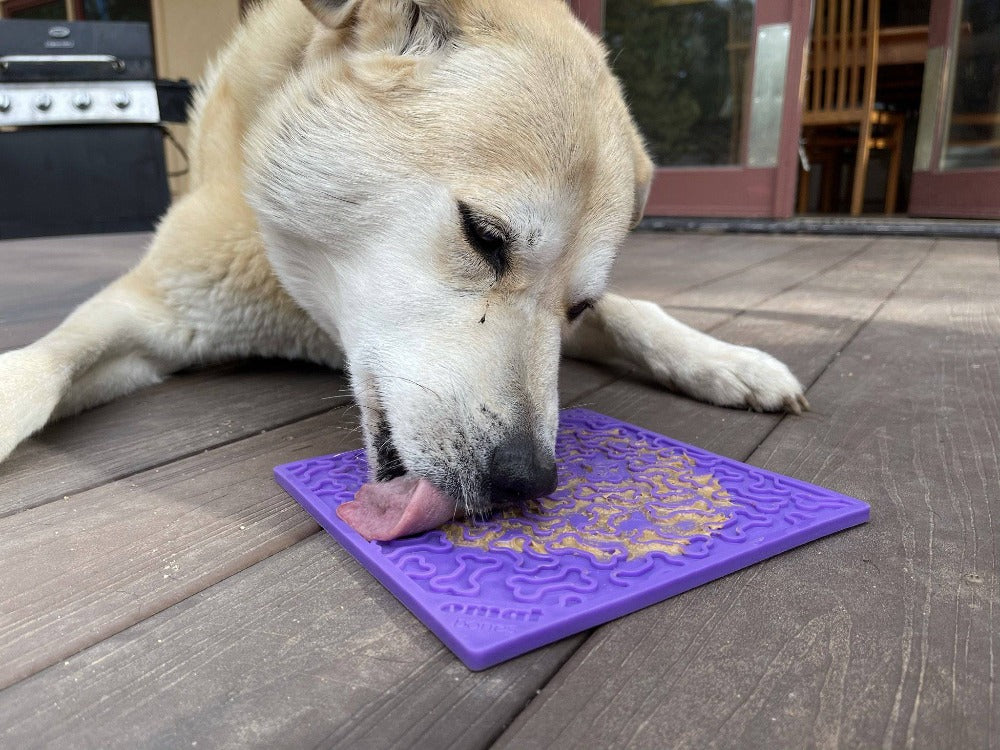 Bones eMat - Enrichment Lick Mat for Dogs and Cats | eMat Enrichment Toy for Anxiety Relief | SodaPup