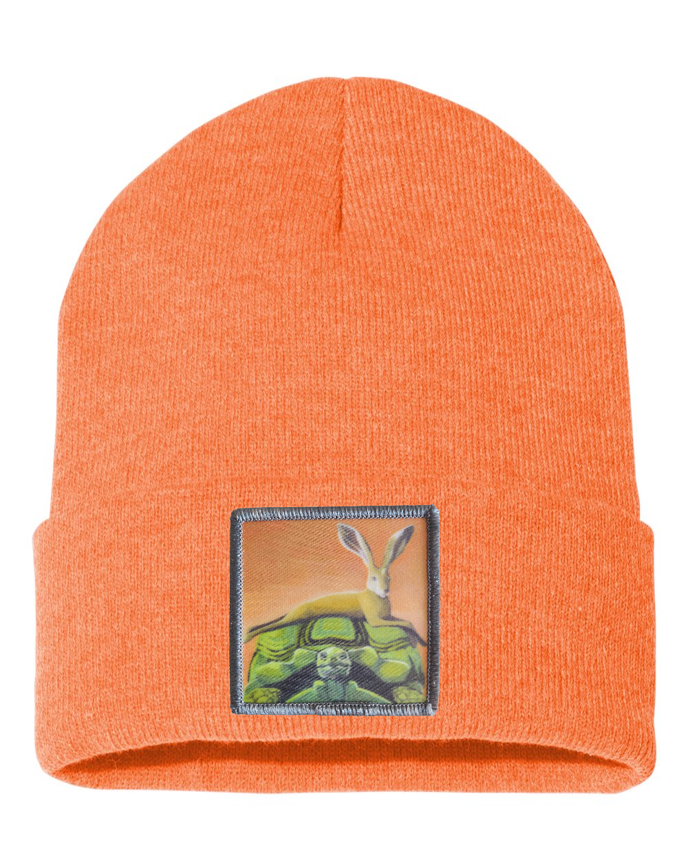 The Tortoise By a Hare Beanie