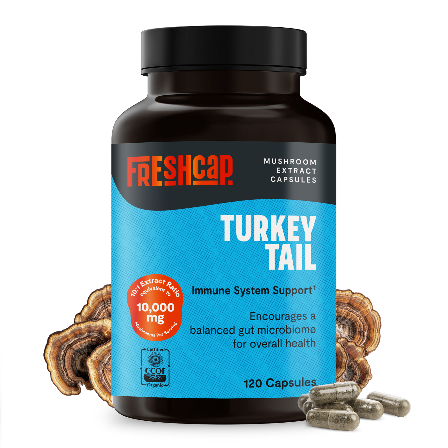 Turkey Tail Mushroom Extract Capsules - Triathlete Store