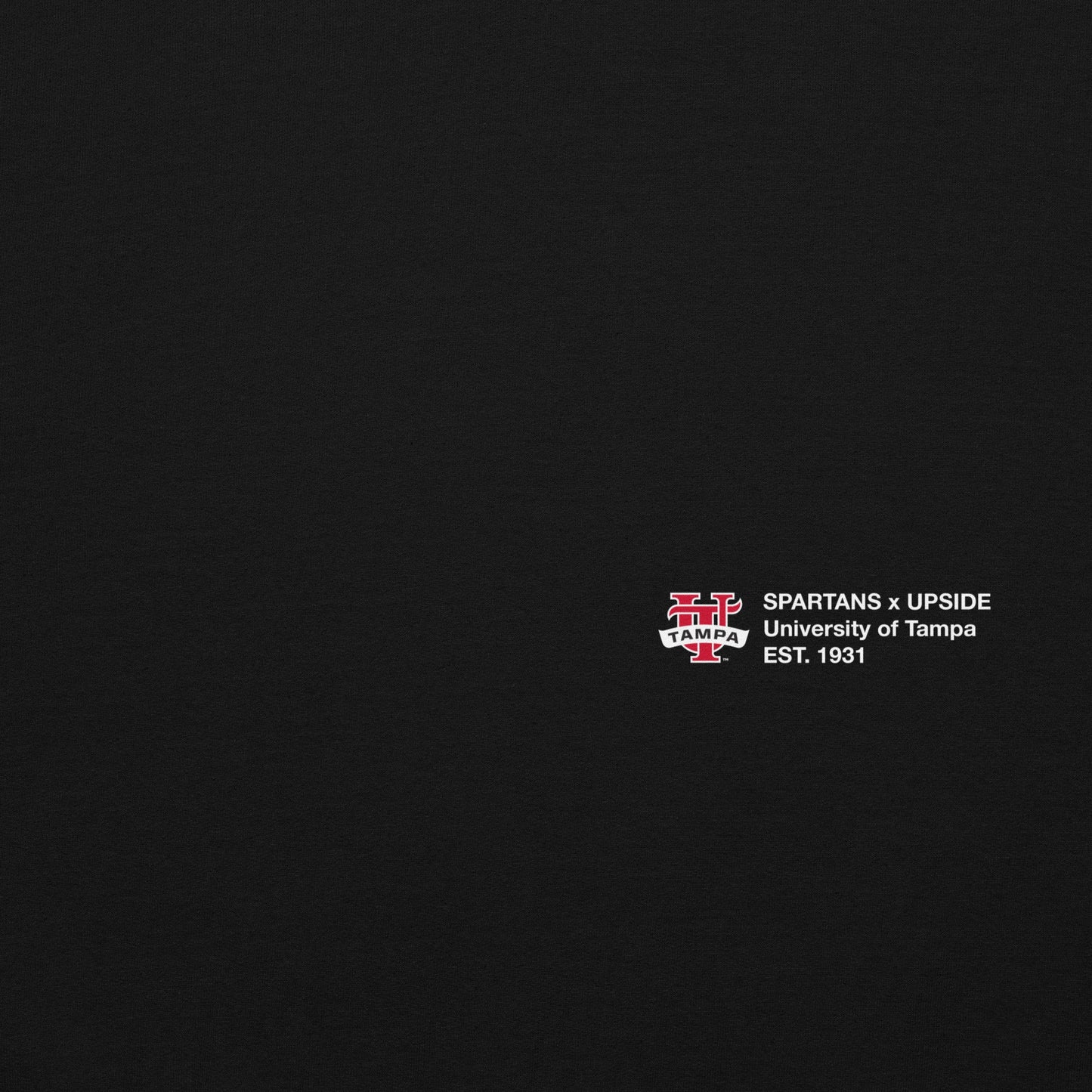 Tampa Essentials Hoodie