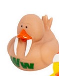 Walrus duck keychain