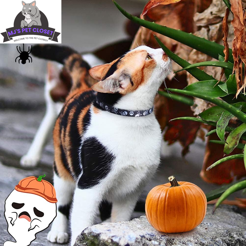 Cute & Stylish Breakaway Cat Collars! ๐พ๐ 2-pack in Pink & Black Skull Design, Perfect for Your Fashionable Feline! ๐๐ฑ