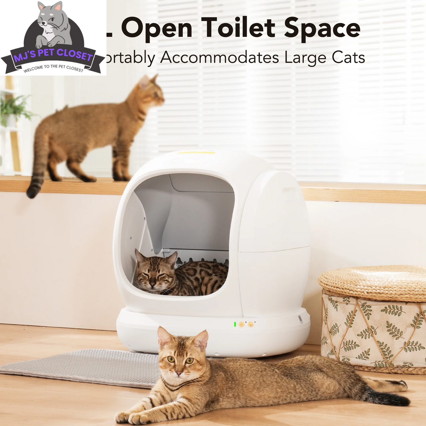 Say goodbye to messy litter boxes! Meet the Smart Self-Cleaning Cat Litter Box with APP Control and Safety Features! 🐾✨ #CatLovers #SmartHome