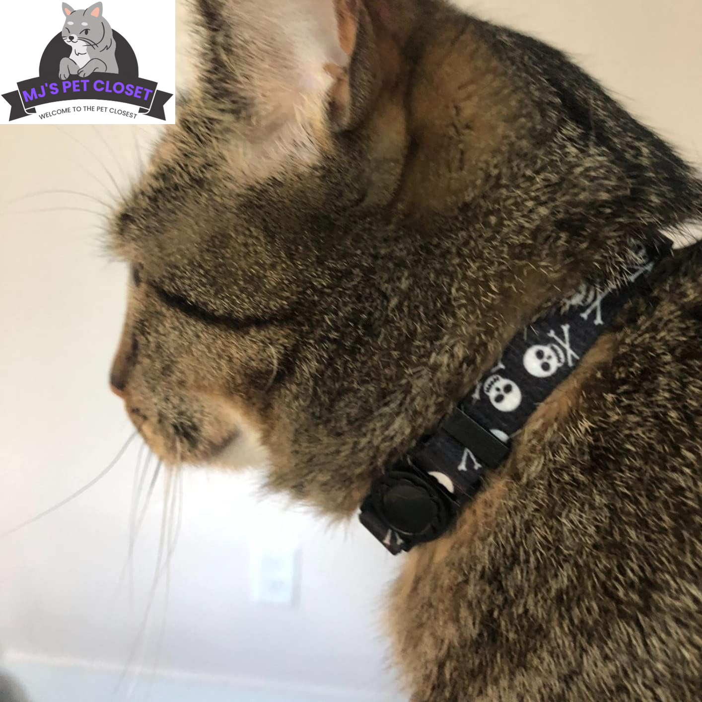 Cute & Stylish Breakaway Cat Collars! ๐พ๐ 2-pack in Pink & Black Skull Design, Perfect for Your Fashionable Feline! ๐๐ฑ