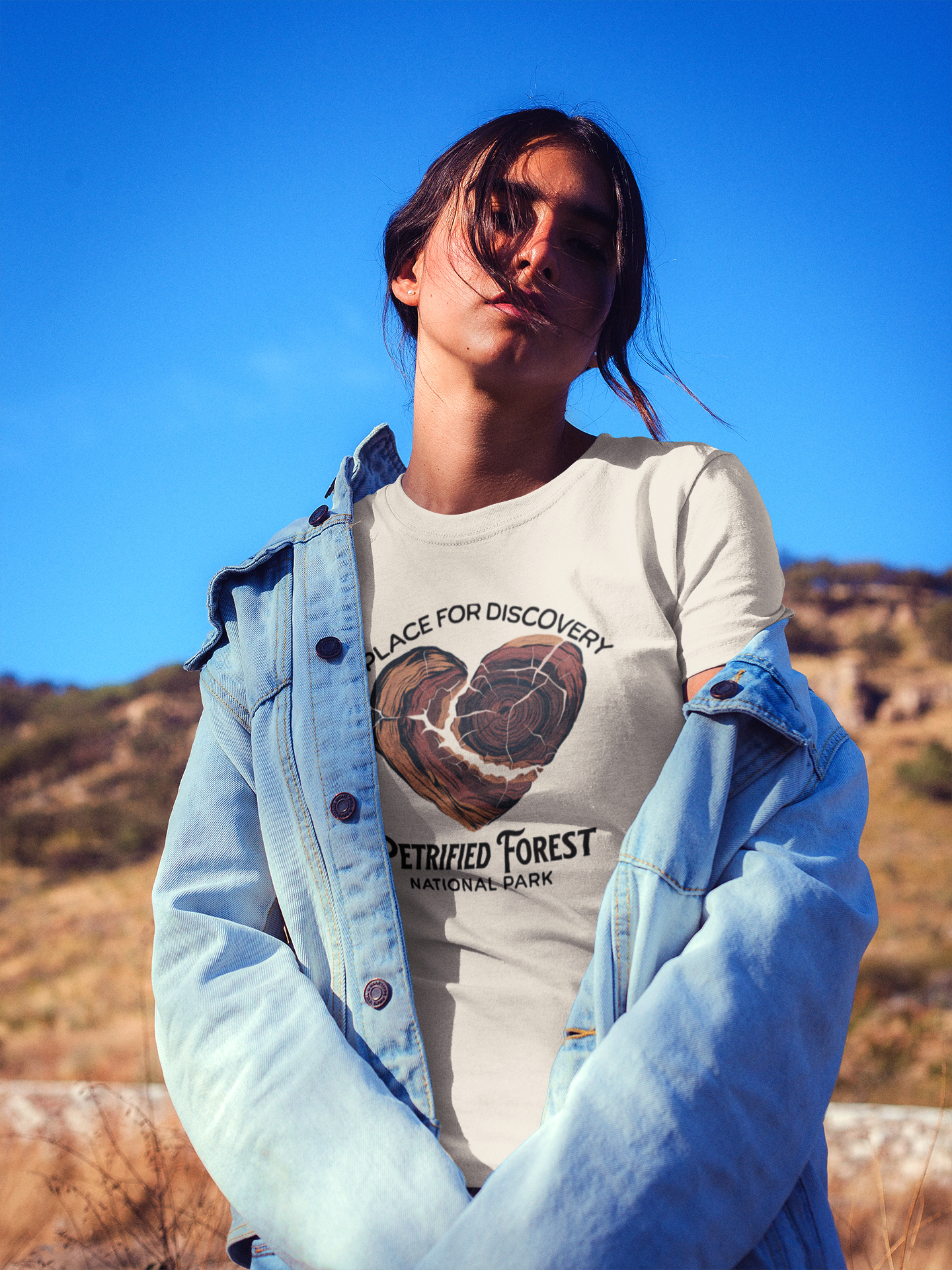 Petrified Forest National Park Unisex Fit Soft T-Shirt Heart Wood