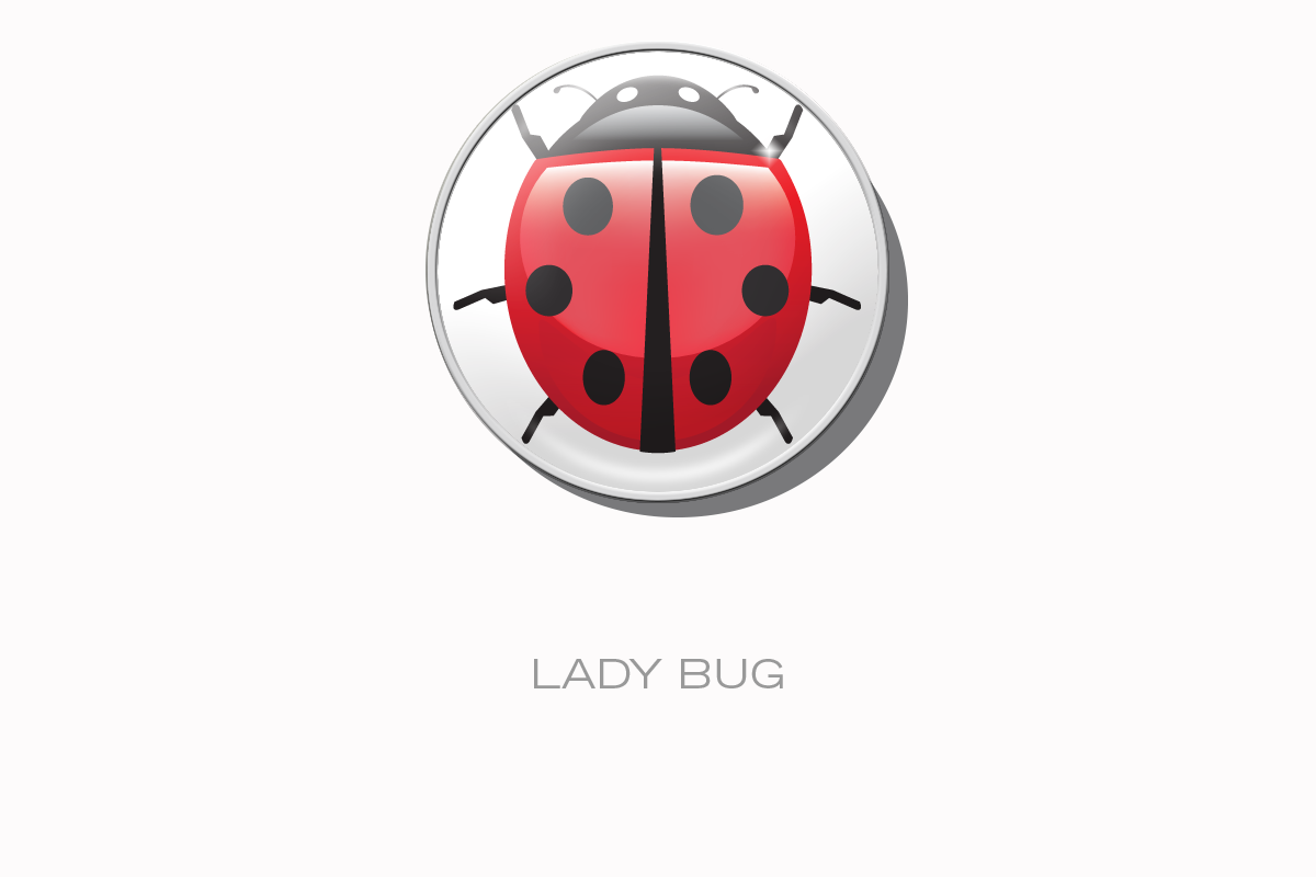 RaceDots: Magnetic Race Number Positioning System 4-Pack (Lady Bug)