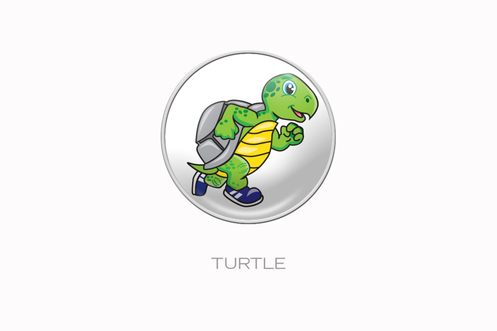 RaceDots: Magnetic Race Number Positioning System 4-Pack (Turtle)