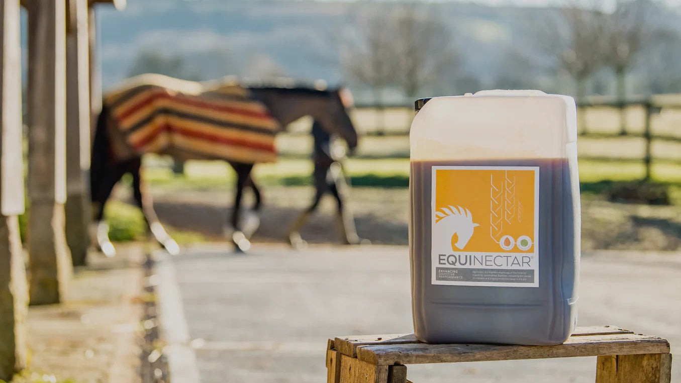 EquiNectar USA