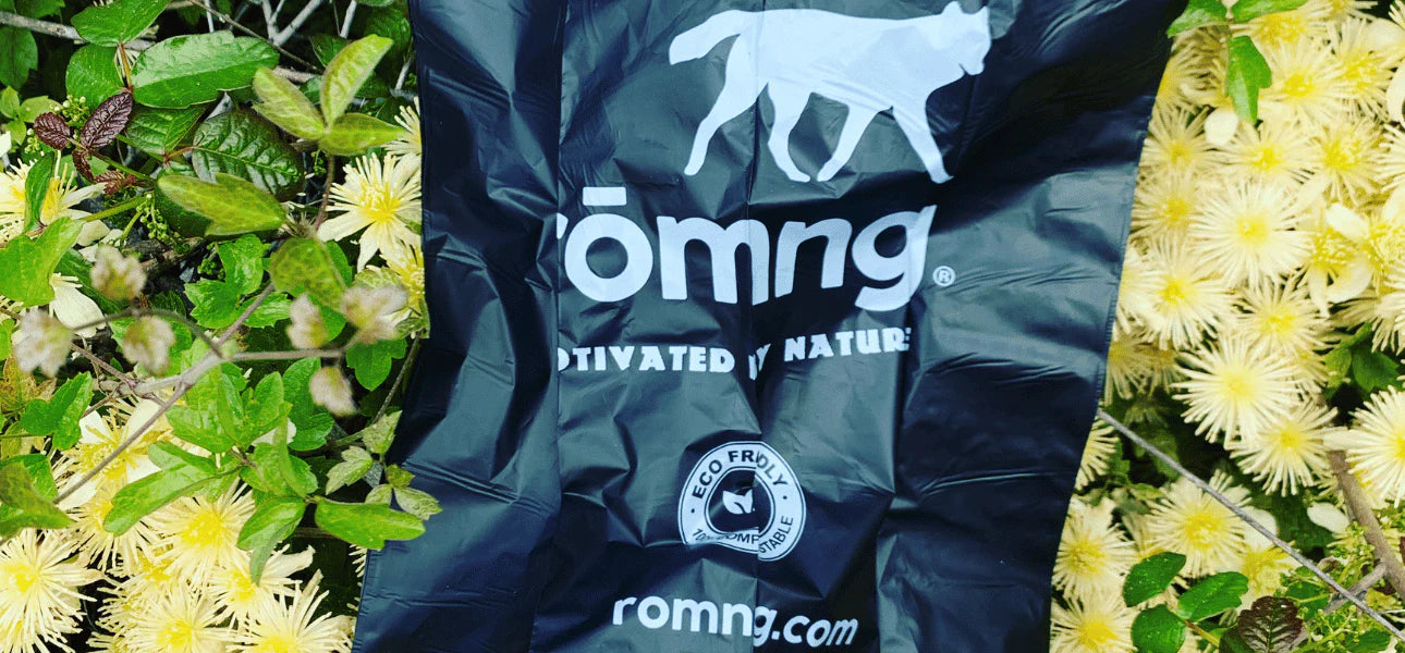 rōmng