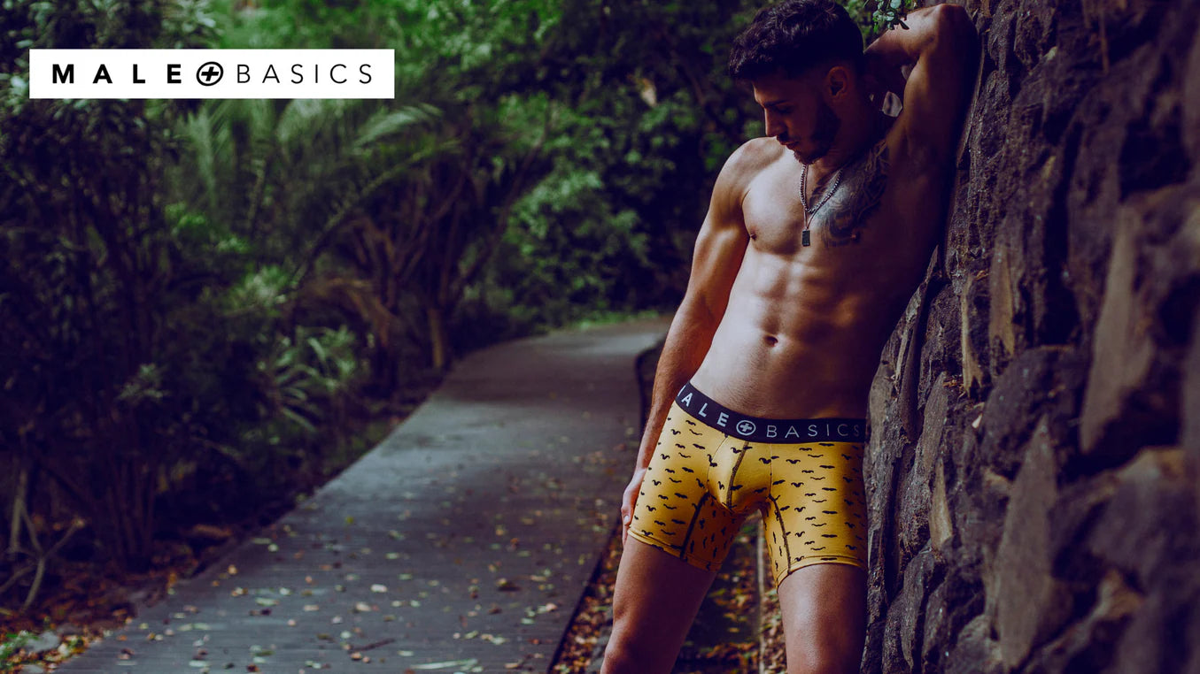 Malebasics