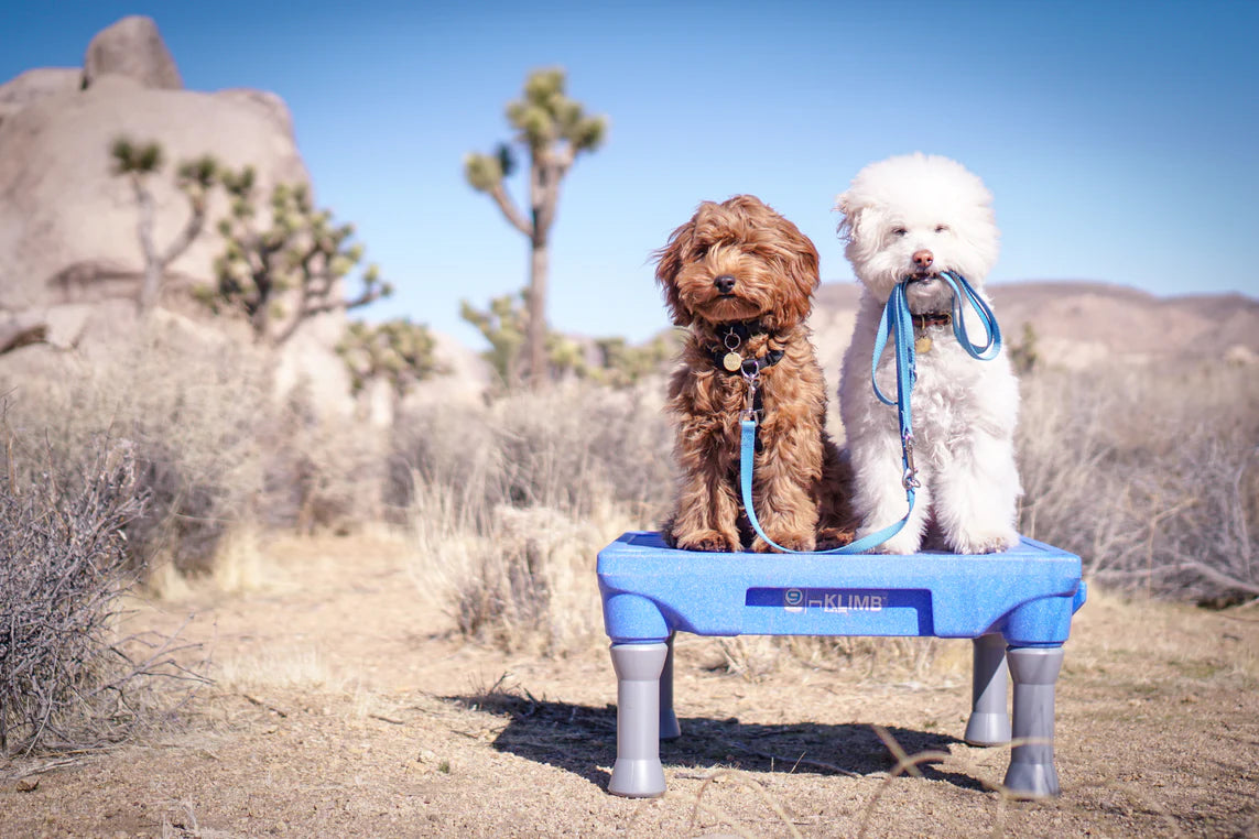 Blue-9 Pet Products