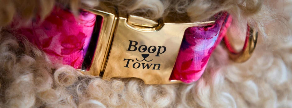 Boop Town