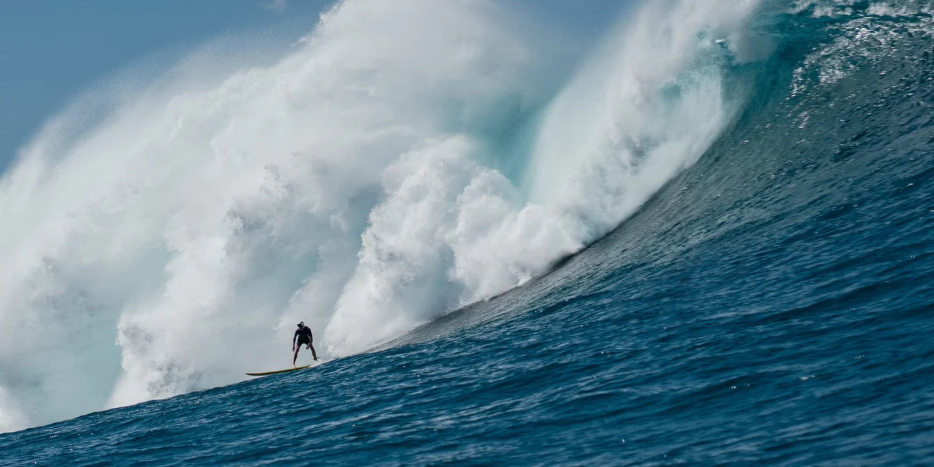 Famous Surf