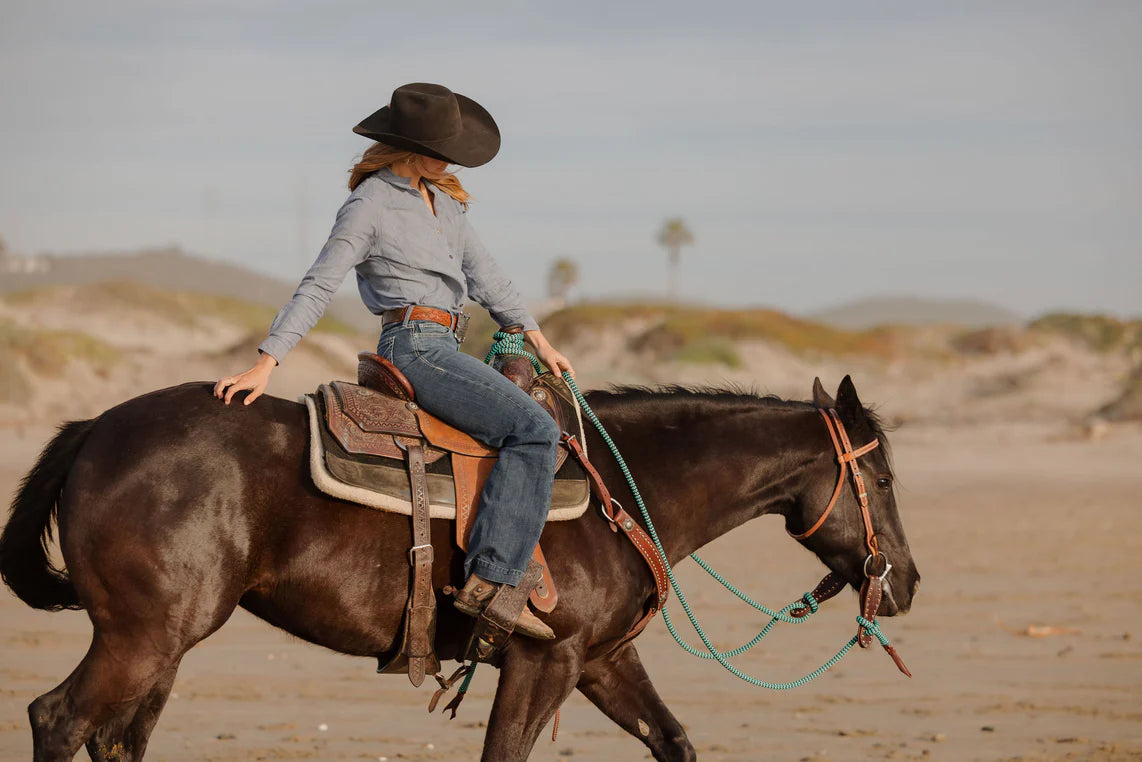 Andrea Equine