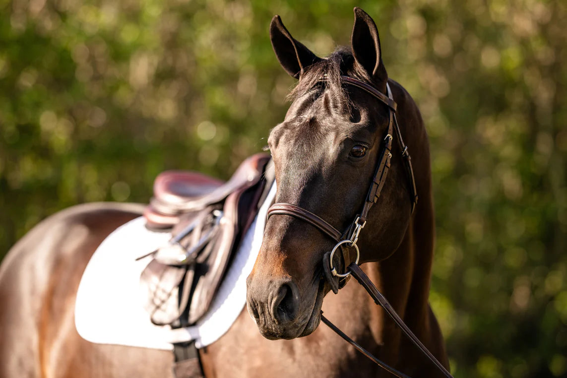 Huntley Equestrian