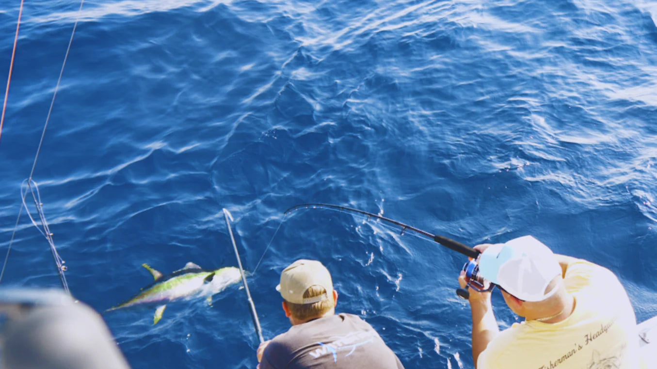 Magictail Outfitters