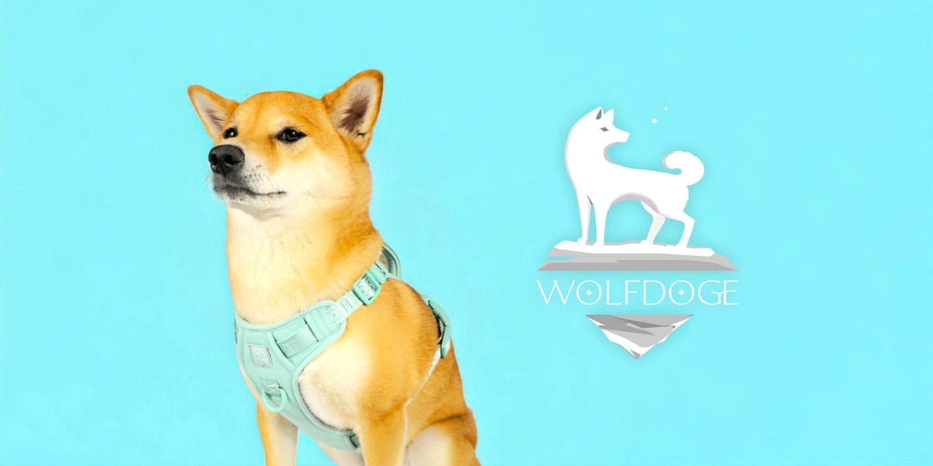 WOLFDOGE